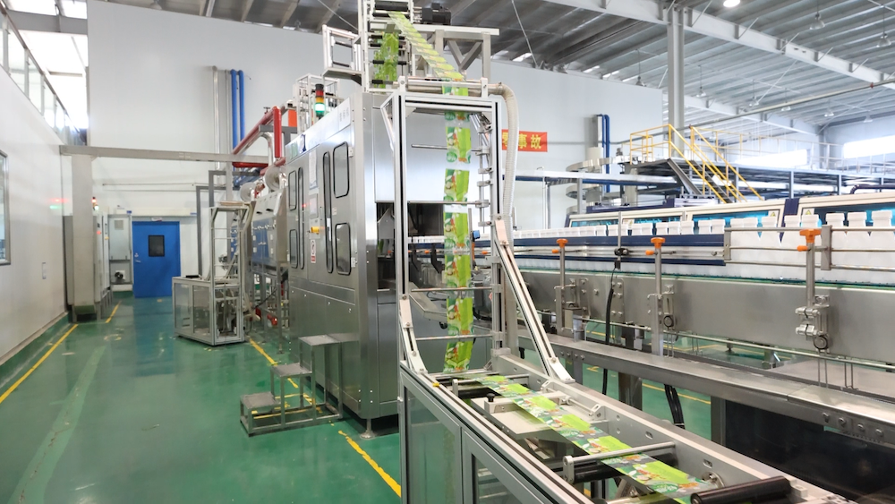 Packaging System - 3